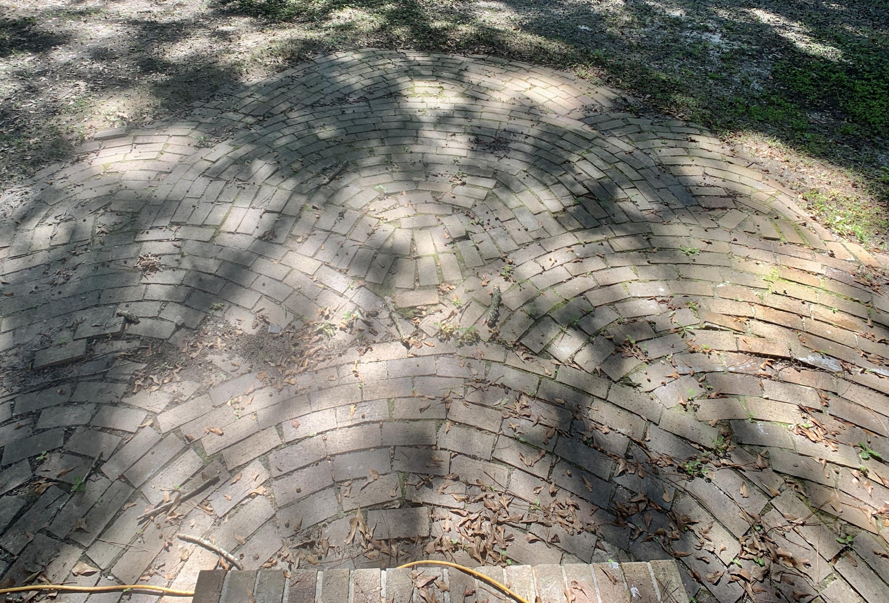 1744 Dogwood Road Charleston, SC 29414 - Photo 15 of 21 IMG_1544