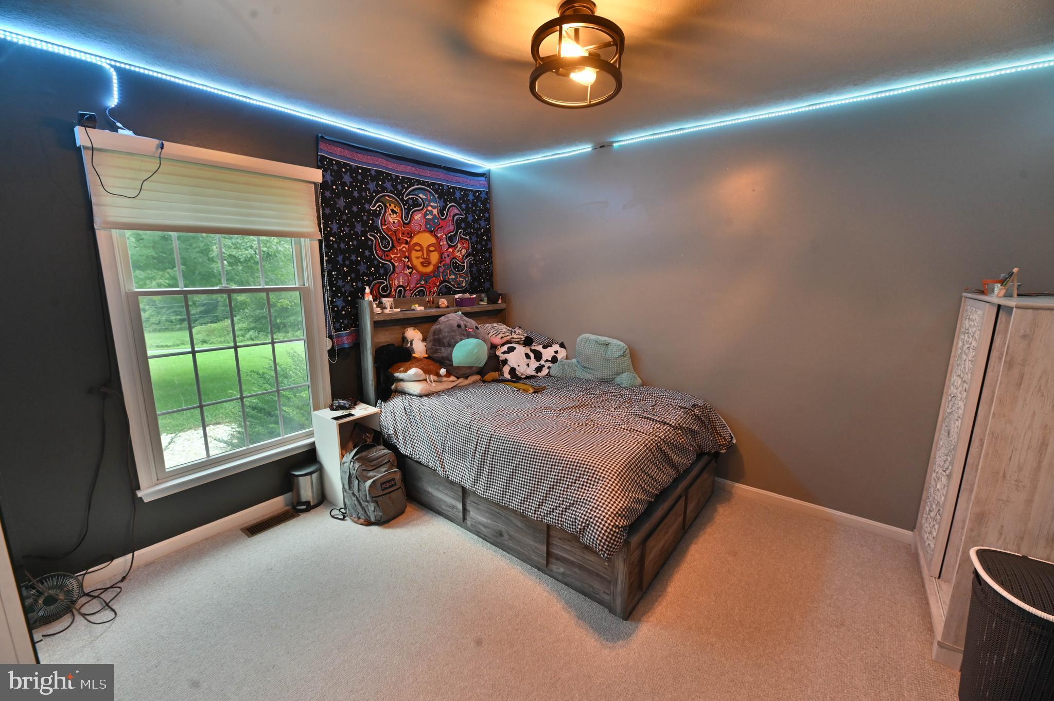 357 Salt Lake Road Fawn Grove, PA 17321 - Photo 65 of 87 Gallery Image 65