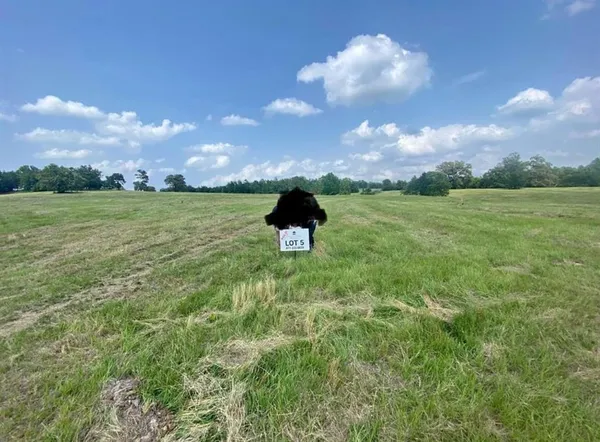 $108,000 | Lot #5 Private Road, Big Sandy, TX 75755