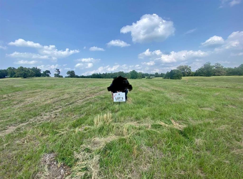 Lot #5 Private Road Big Sandy, TX 75755 - Photo 1 of 2