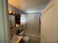 a room with a potted plant