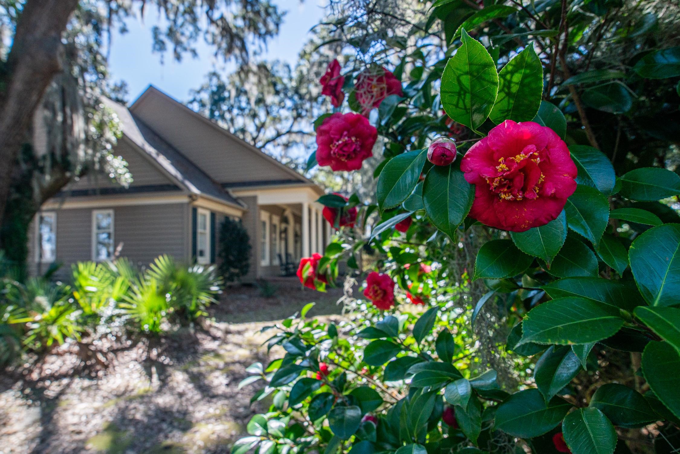762 Wraggs Ferry Road Georgetown, SC 29440 - Photo 7 of 48