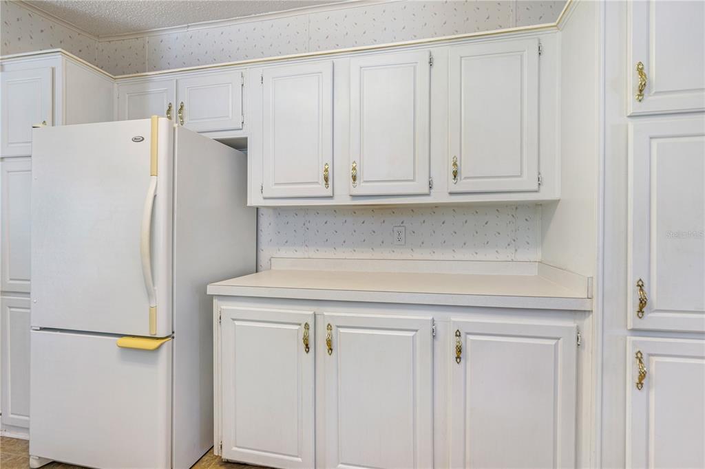 509 Starboard Avenue Edgewater, FL 32141 - Photo 16 of 54 a view of a kitchen with refrigerator and a sink