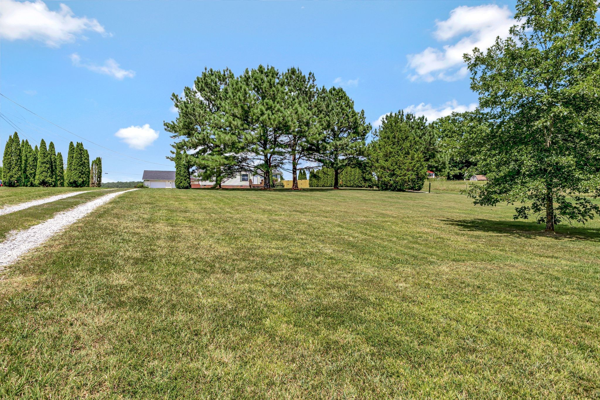 9440 Missionary Ridge Road Bon Aqua, TN 37025 - Photo 39 of 59 a view of a field with an trees