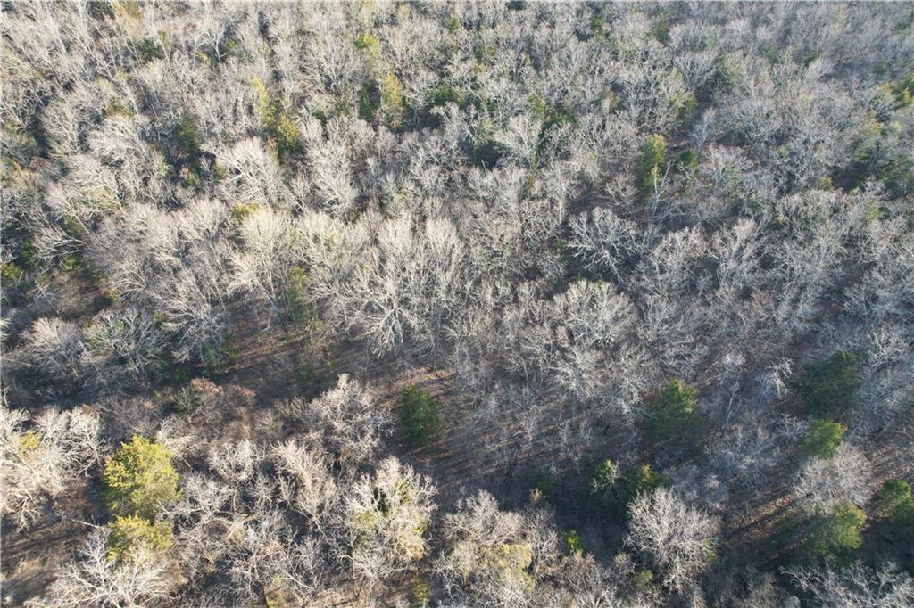 50801 South 36300 Road Cleveland, OK 74020 - Photo 17 of 88