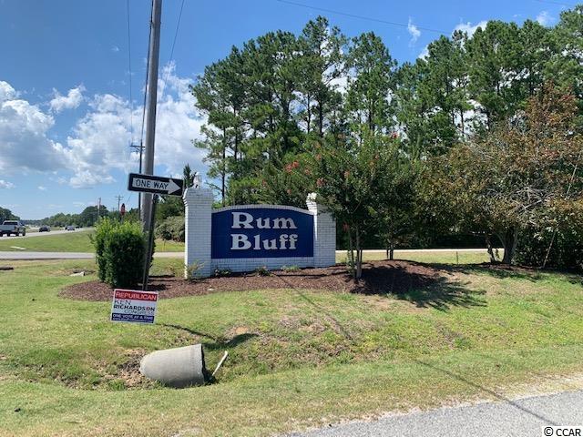 214 Rum Bluff Boulevard Longs, SC 29568 - Photo 30 of 30