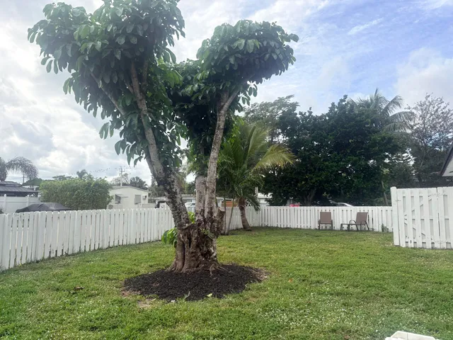 a view of an house with a backyard and a tree