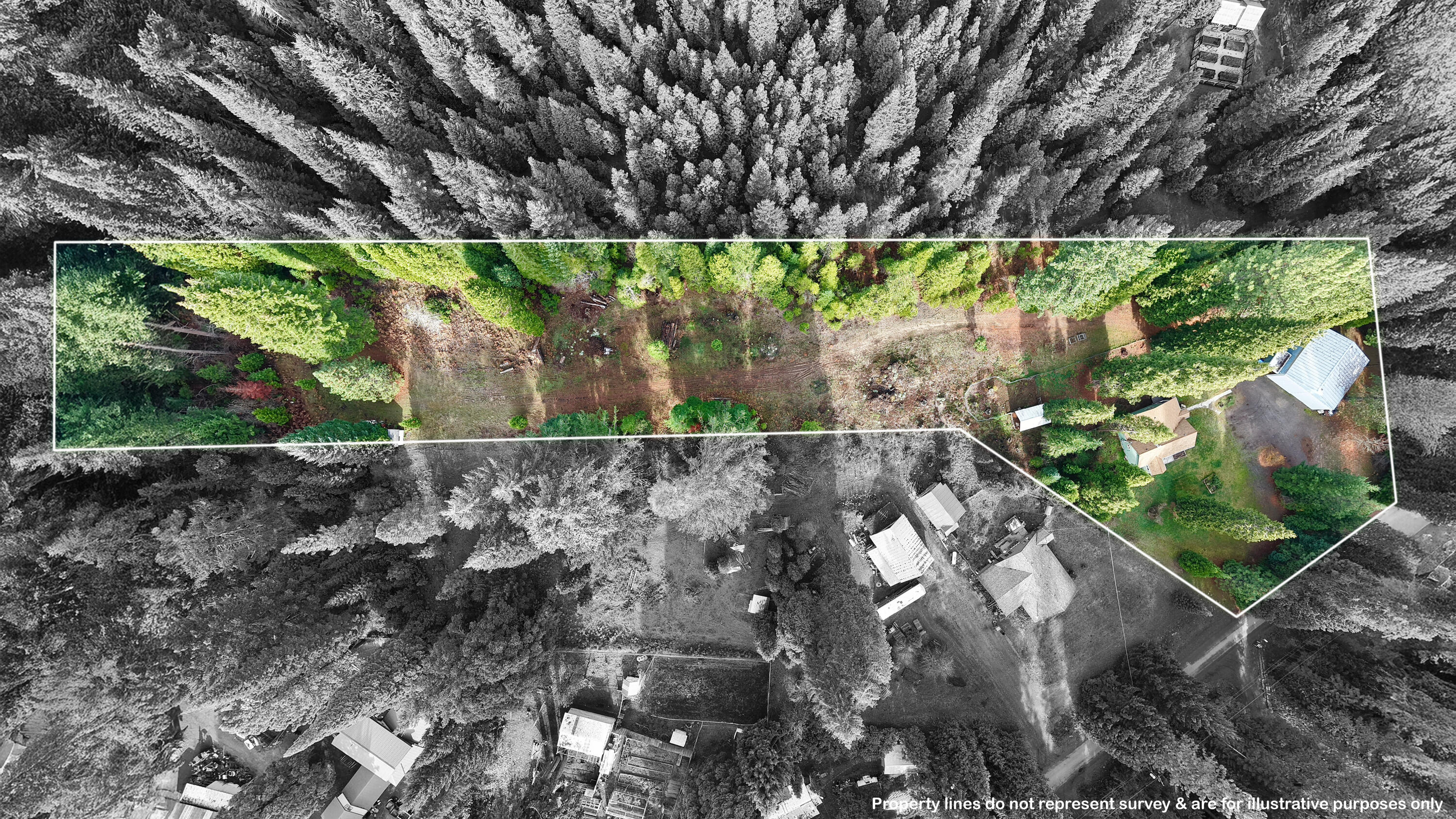 431 Red Blanket Road Prospect, OR 97536 - Photo 4 of 48 Property lines are approx. and for illustrative purposes only.