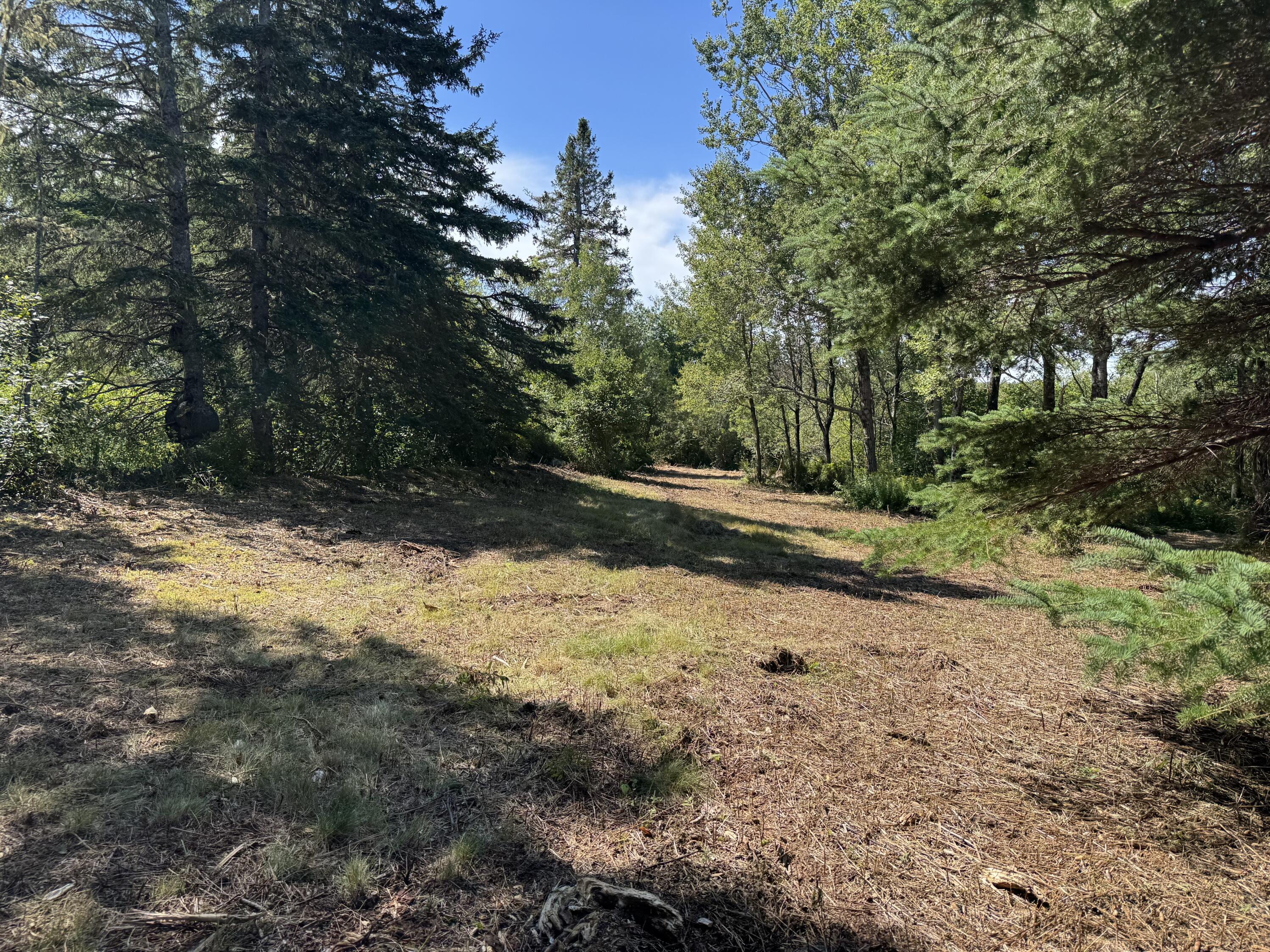 Lot 102.1 Dixie Road Lubec, ME 04652 - Photo 9 of 11 Looking North from top of Access #2