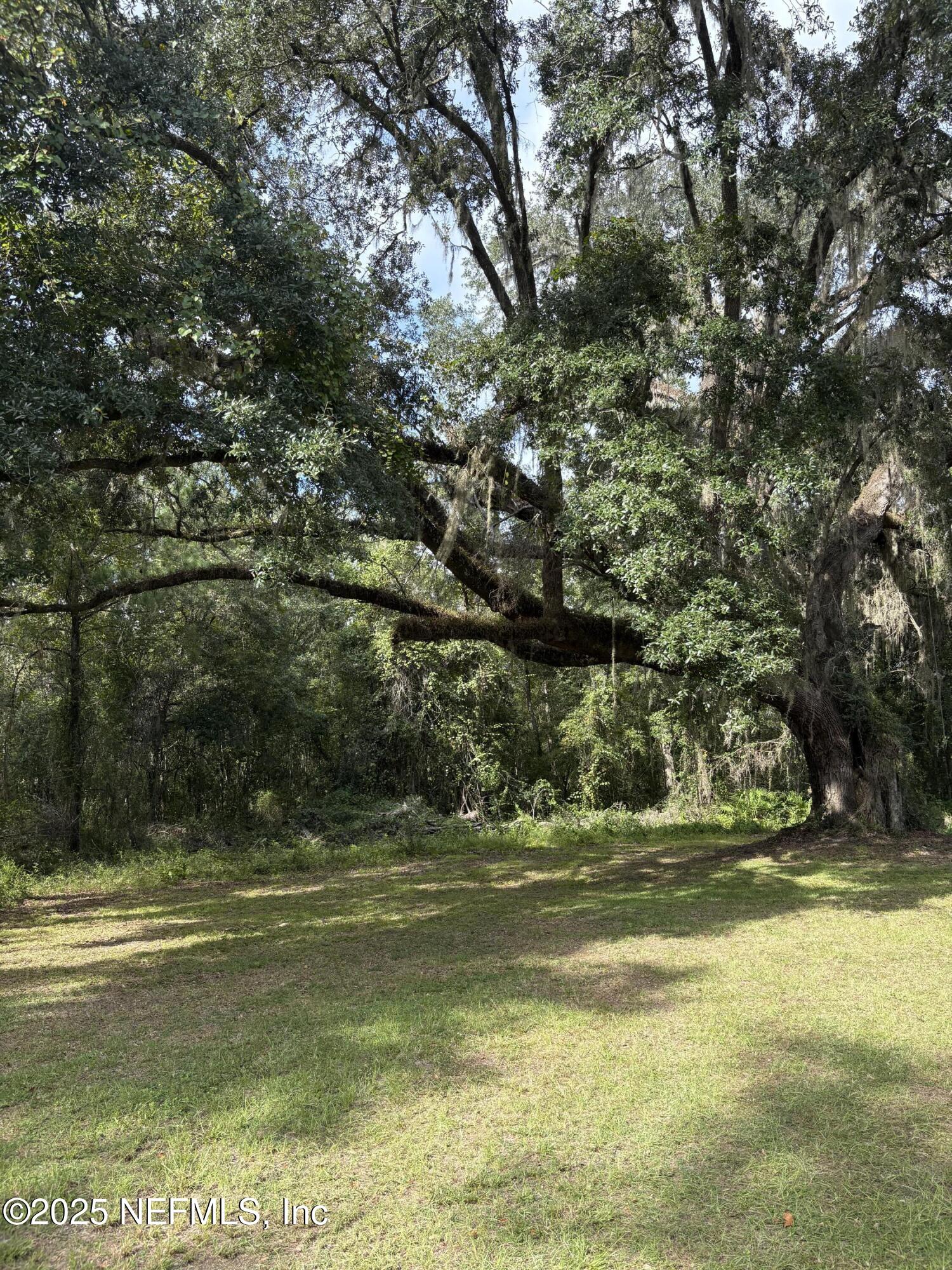 9125 State Rte 100 Lake Butler, FL 32054 - Photo 14 of 38 IMG_3898