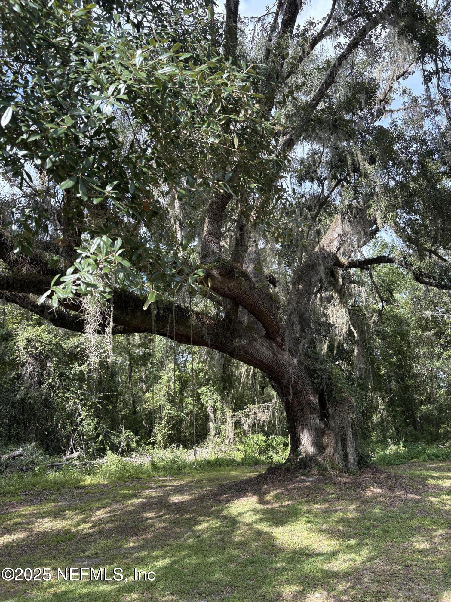 9125 State Rte 100 Lake Butler, FL 32054 - Photo 7 of 38 IMG_3899