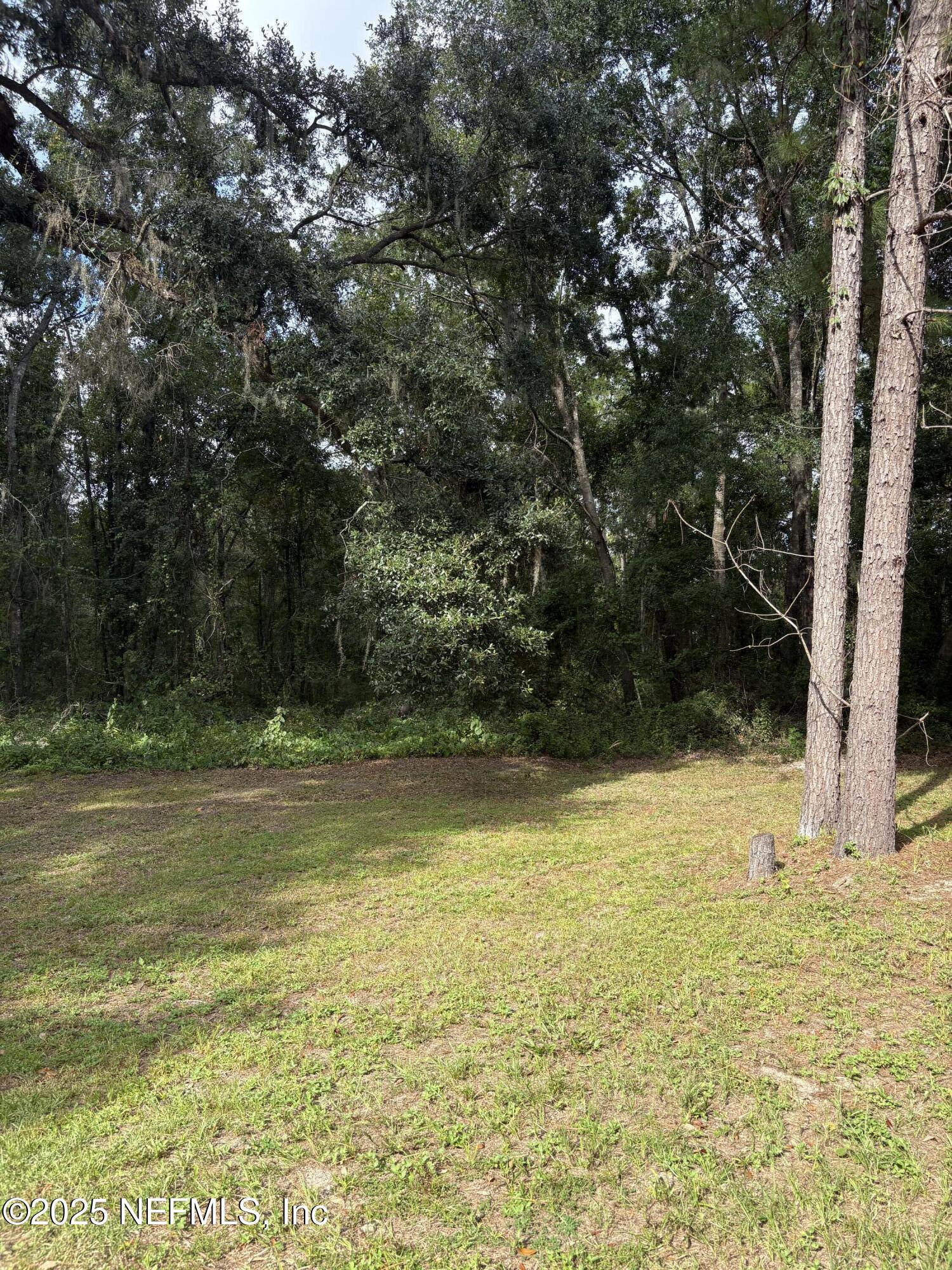 9125 State Rte 100 Lake Butler, FL 32054 - Photo 10 of 38 IMG_3903