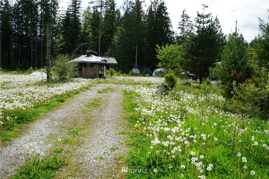 6401 Little Big Horn Road Maple Falls, WA 98266 - Photo 5 of 6 Gallery Image 5