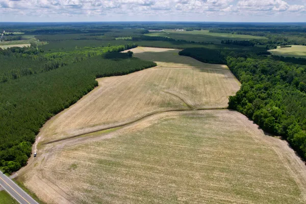 $485,550 | 83.03-acres - Birch Creek Road, Andrews, SC 29510