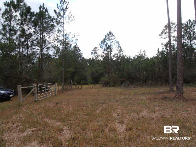 29409 Archie Road Elberta, AL 36530 - Photo 11 of 20 Facing West