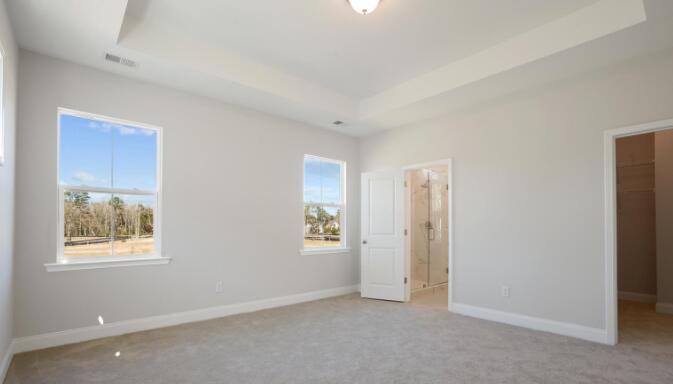 177 Claret Cup Way Charleston, SC 29414 - Photo 4 of 11 92222