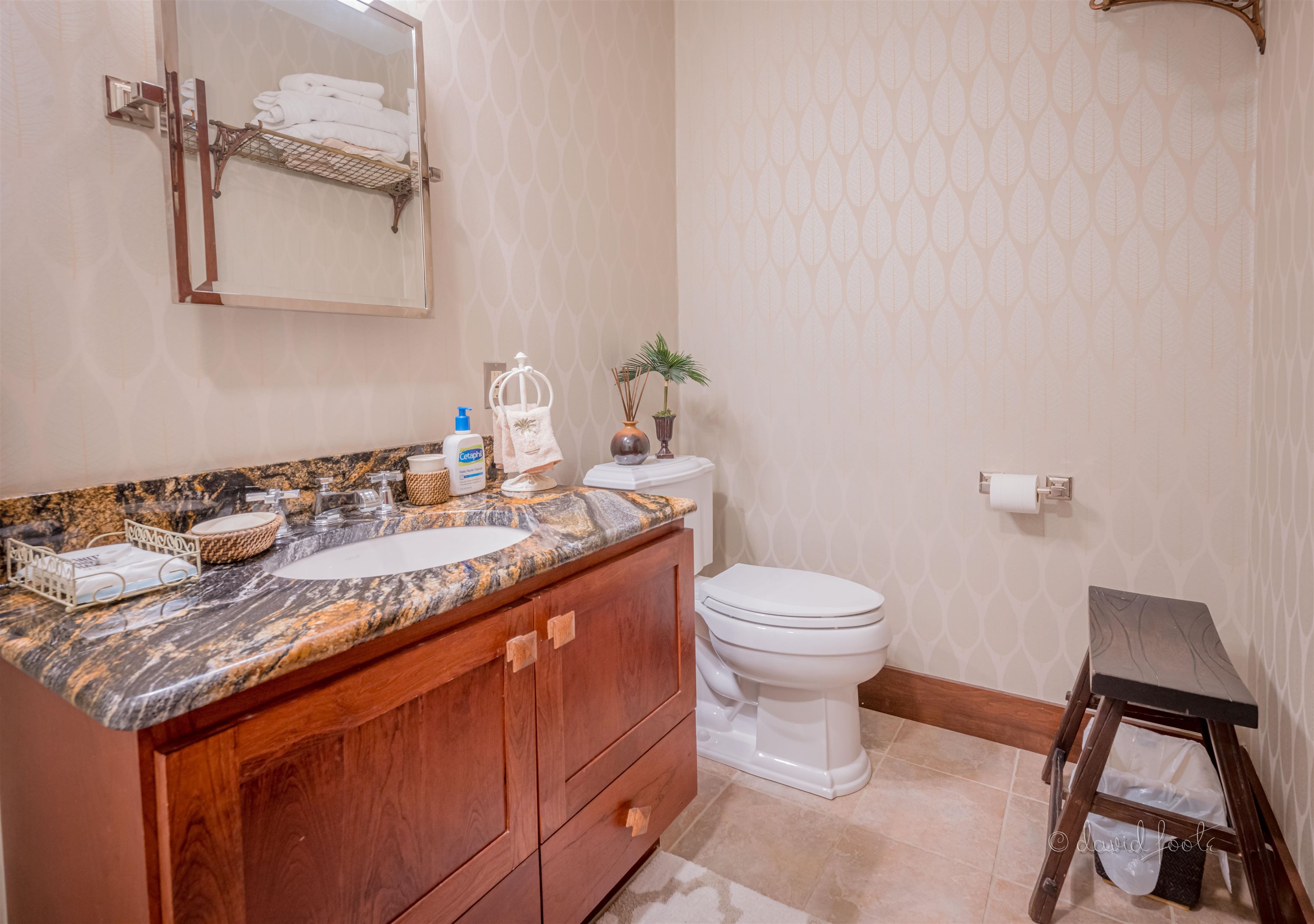 49 High Ridge Run Galena, IL 61036 - Photo 60 of 81 a bathroom with a granite countertop sink and a toilet
