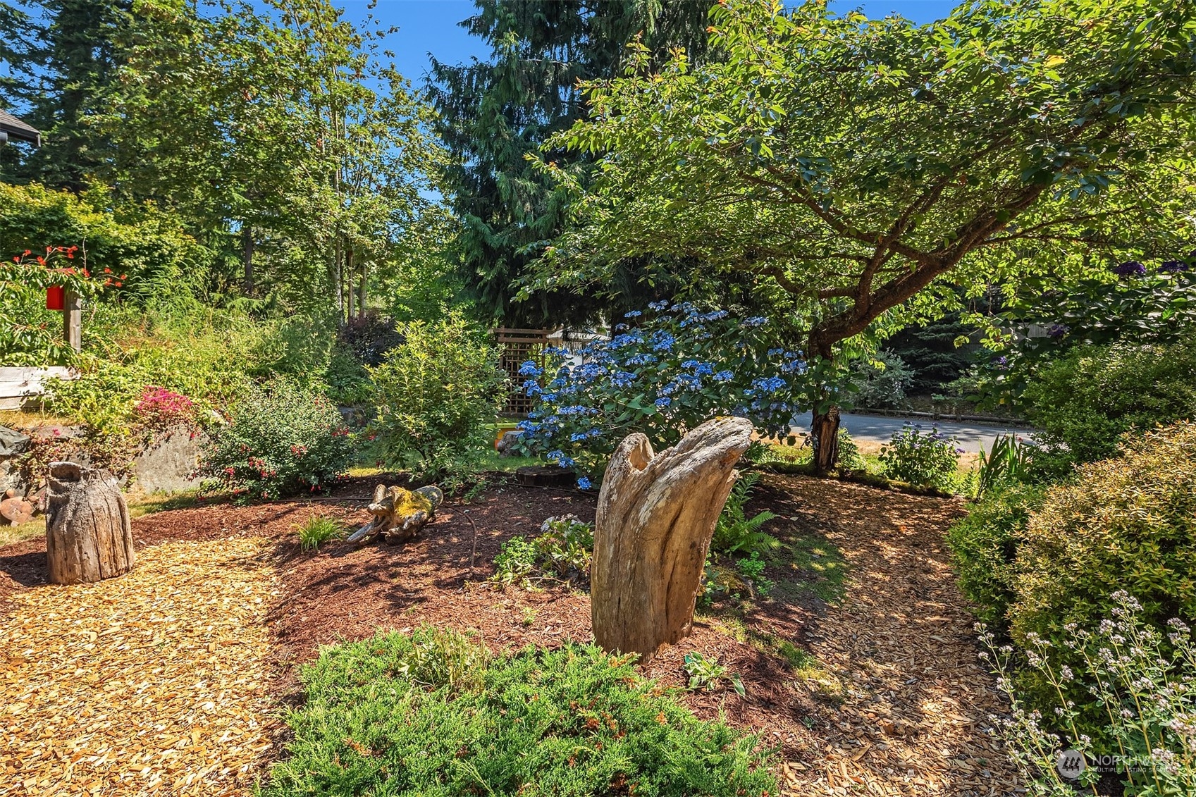 21127 Shell Valley Road Edmonds, WA 98026 - Photo 32 of 40 a backyard of a house with lots of green space