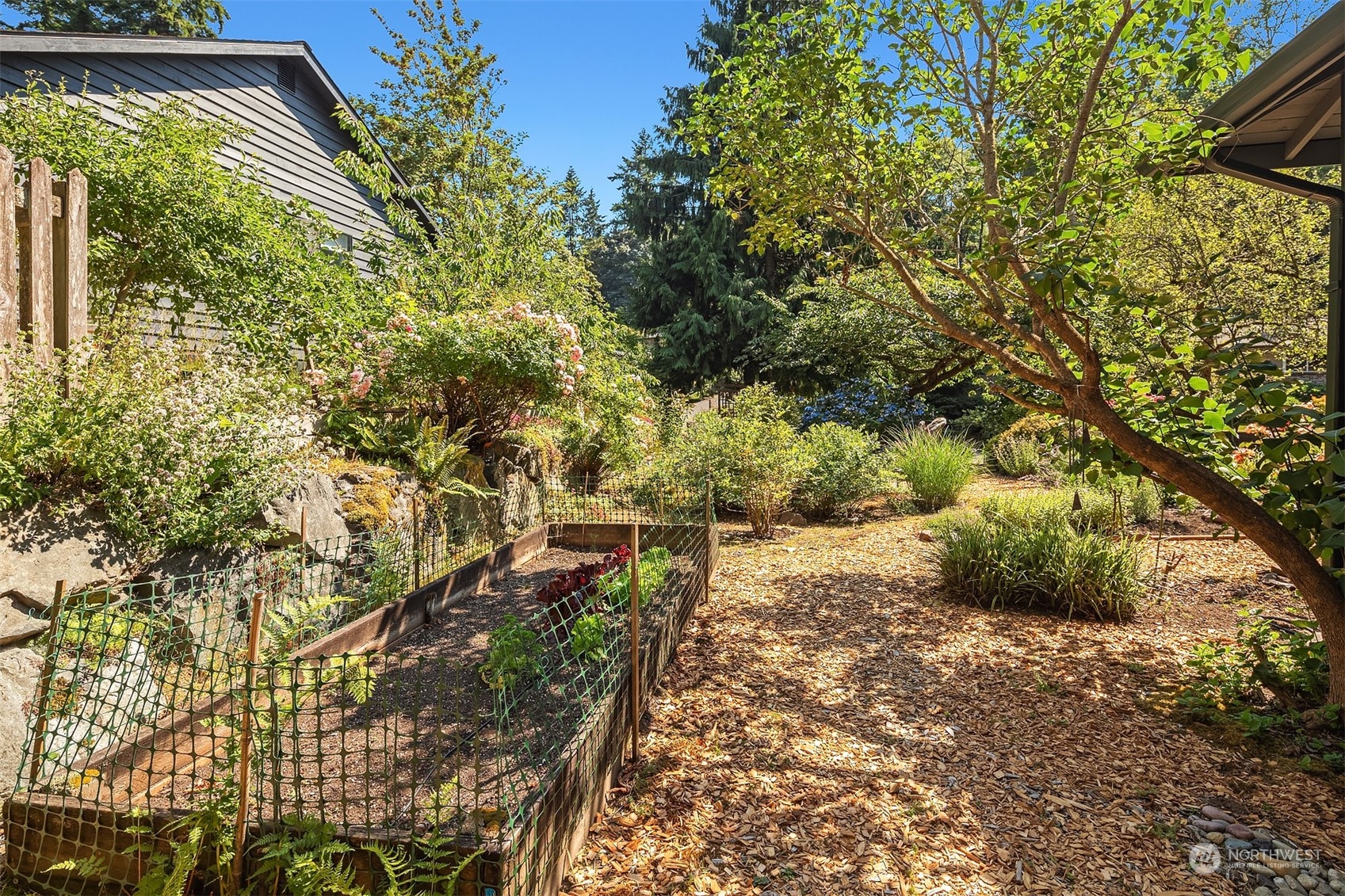 21127 Shell Valley Road Edmonds, WA 98026 - Photo 33 of 40 a view of a yard with plants and large trees