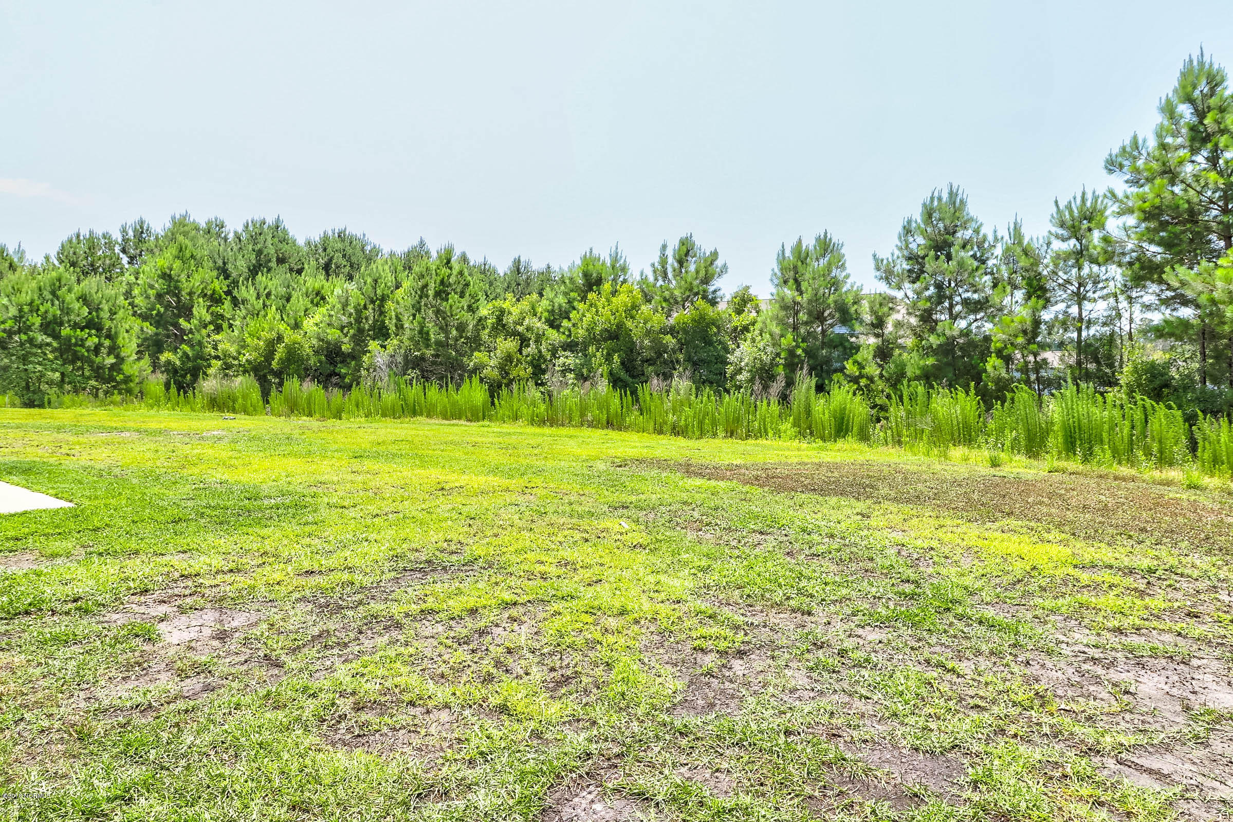 328 South Culverton Road Winnabow, NC 28479 - Photo 28 of 28 IMG_7543_4_5