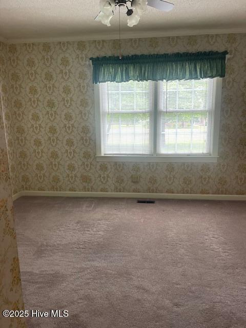 3707 Sand Clay Road Kinston, NC 28504 - Photo 16 of 23 Bed 1