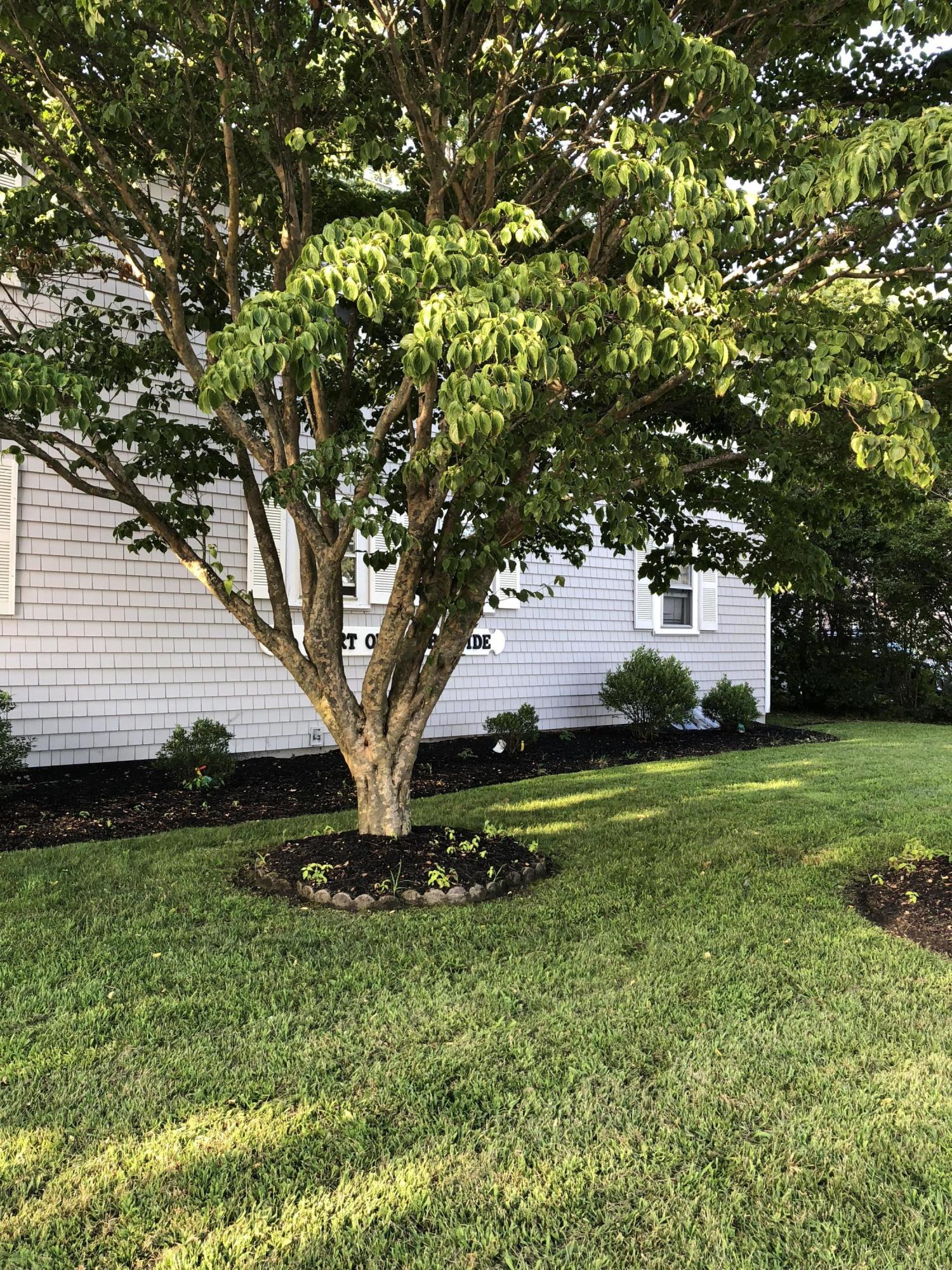 190 Upper County Road, Unit U7 Dennis, MA 02639 - Photo 13 of 14 treee