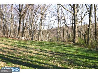 0 Hill Church Road Oley, PA 19547 - Photo 4 of 9 Gallery Image 4