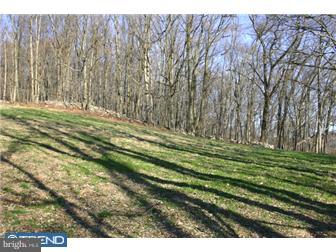 0 Hill Church Road Oley, PA 19547 - Photo 8 of 9 Gallery Image 8