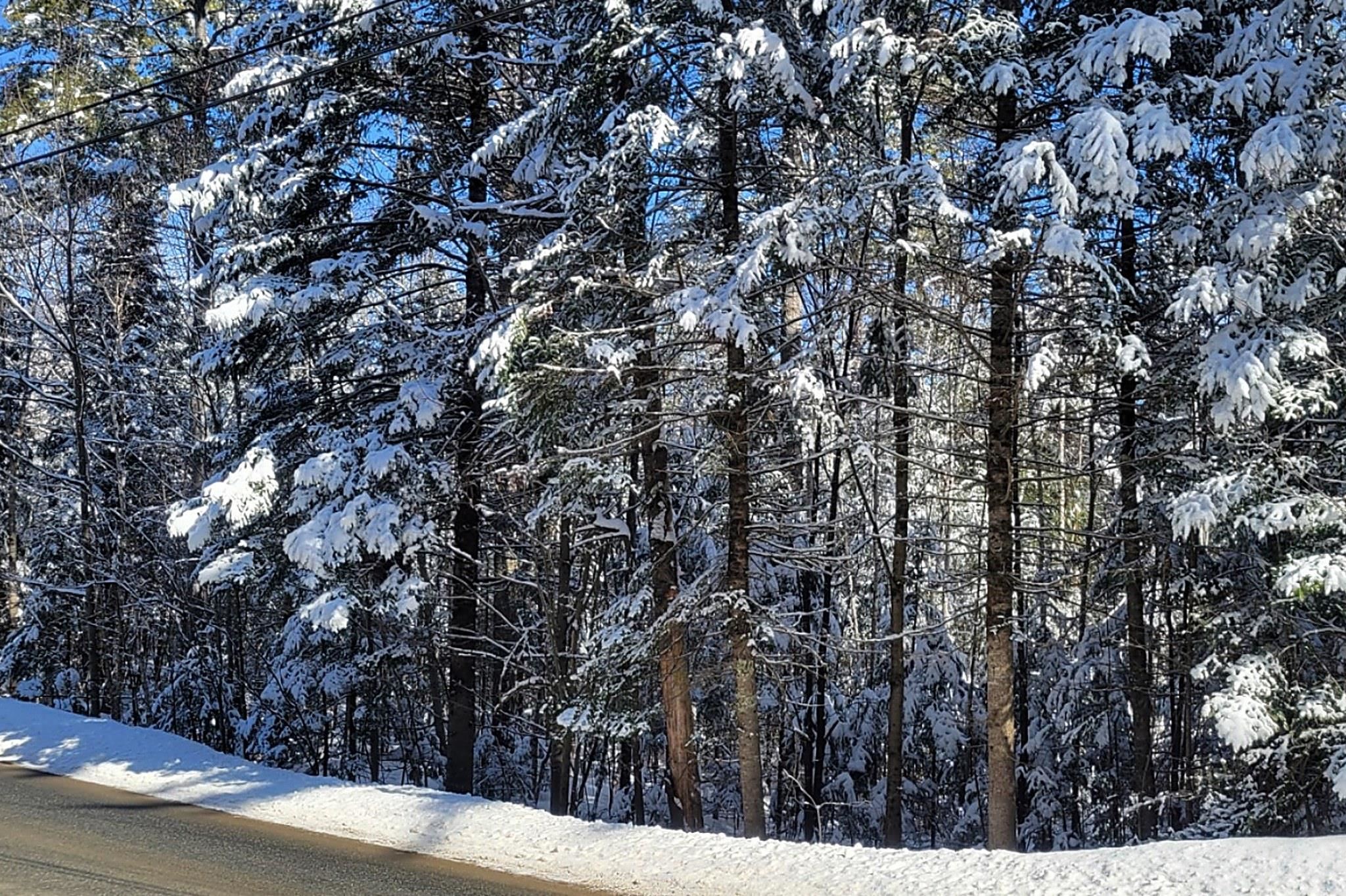 0 French Pond Road, Unit 55 AND 56 Woodsville, NH 03785 - Photo 12 of 16