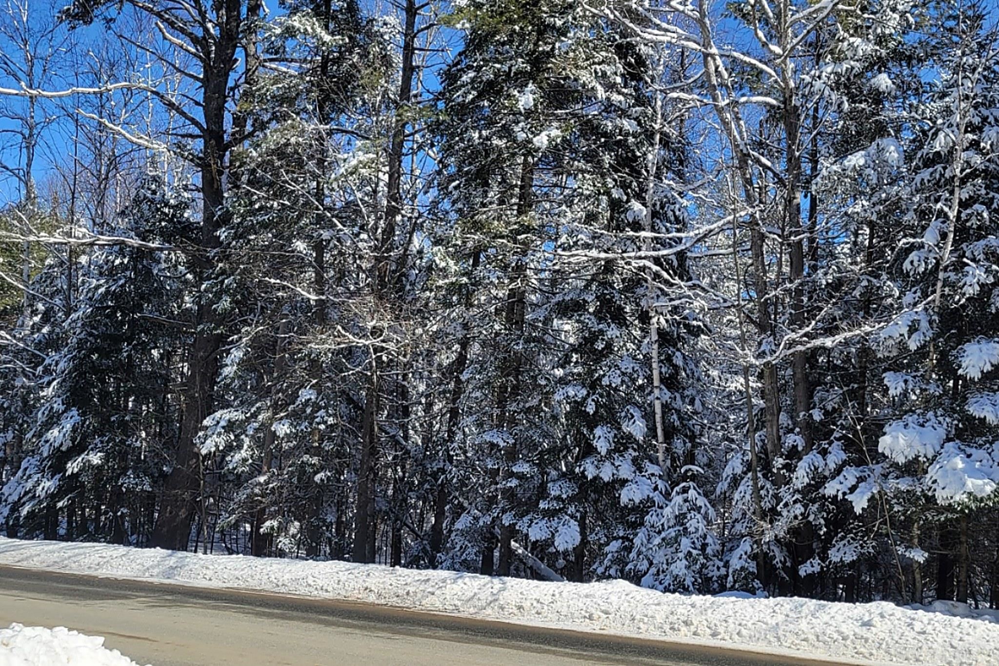 0 French Pond Road, Unit 55 AND 56 Woodsville, NH 03785 - Photo 13 of 16