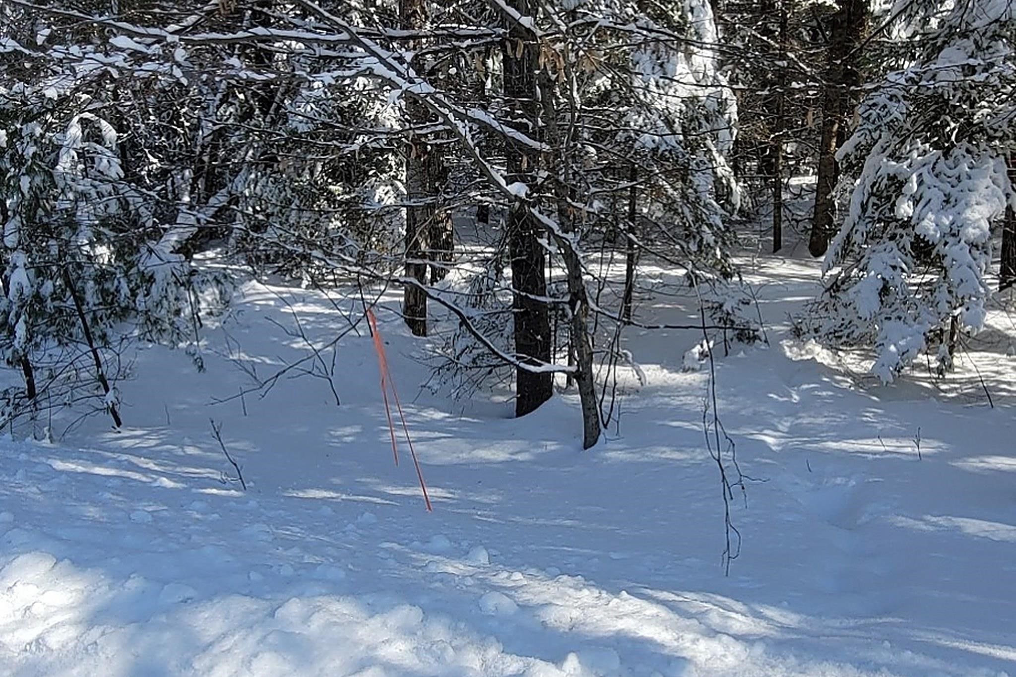 0 French Pond Road, Unit 55 AND 56 Woodsville, NH 03785 - Photo 16 of 16