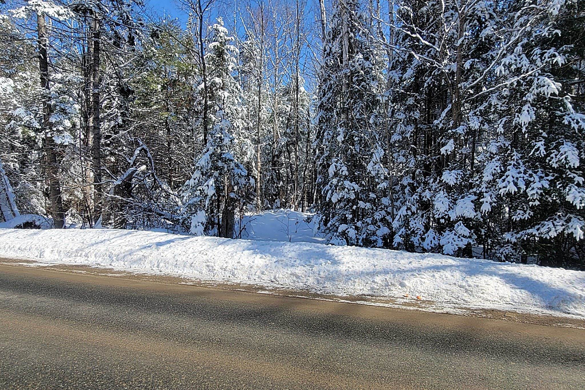 0 French Pond Road, Unit 55 AND 56 Woodsville, NH 03785 - Photo 10 of 16