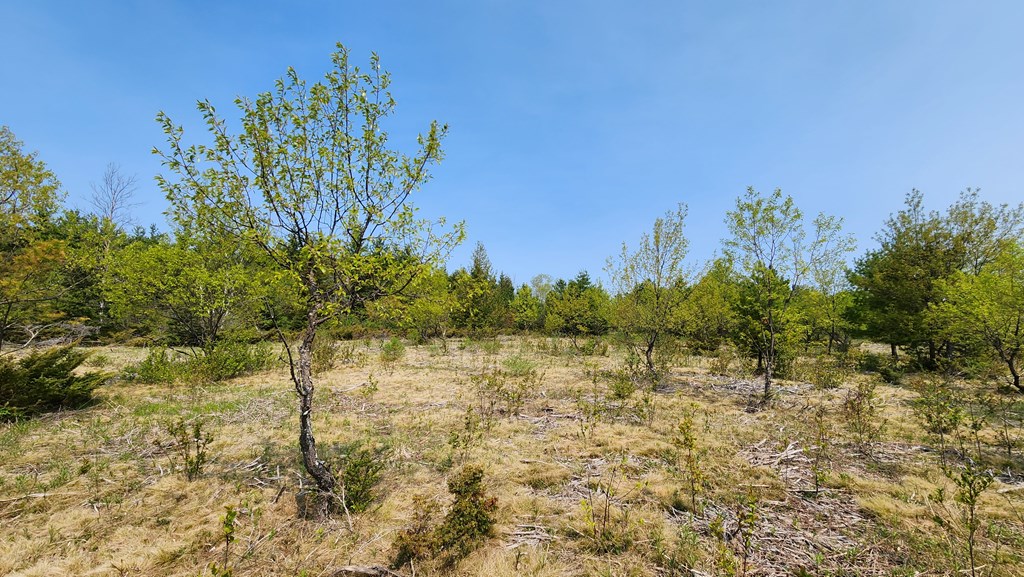 Lot 4 Wandering Down Road Fish Creek, WI 54212 - Photo 7 of 11