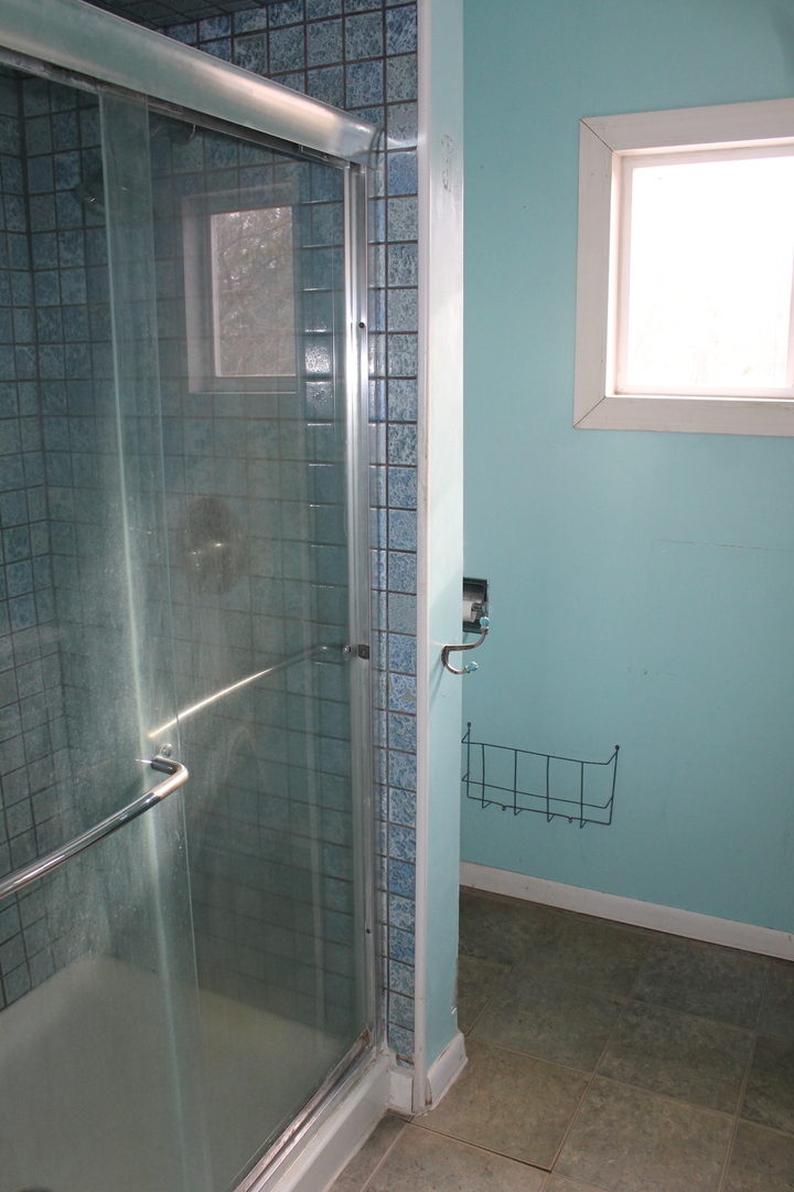 16038 Quigley Road Sycamore, IL 60178 - Photo 15 of 42 a bathroom with a glass shower door