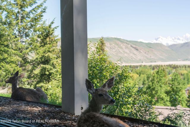 $7,750,000 | 785 Snow King Drive, Jackson, WY 83001