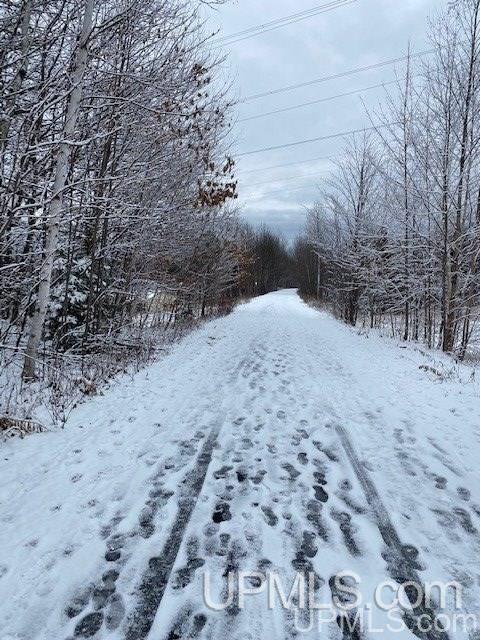 Tbd Tbd Northwoods Road Marquette, MI 49855 - Photo 26 of 31