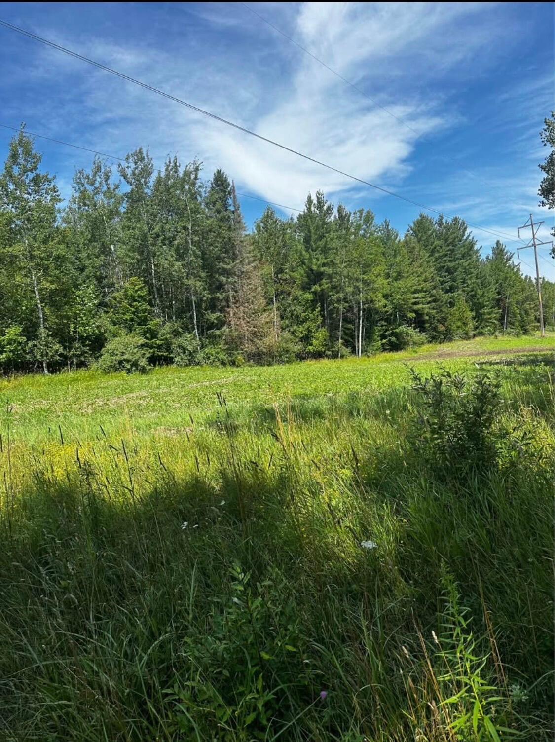 Field