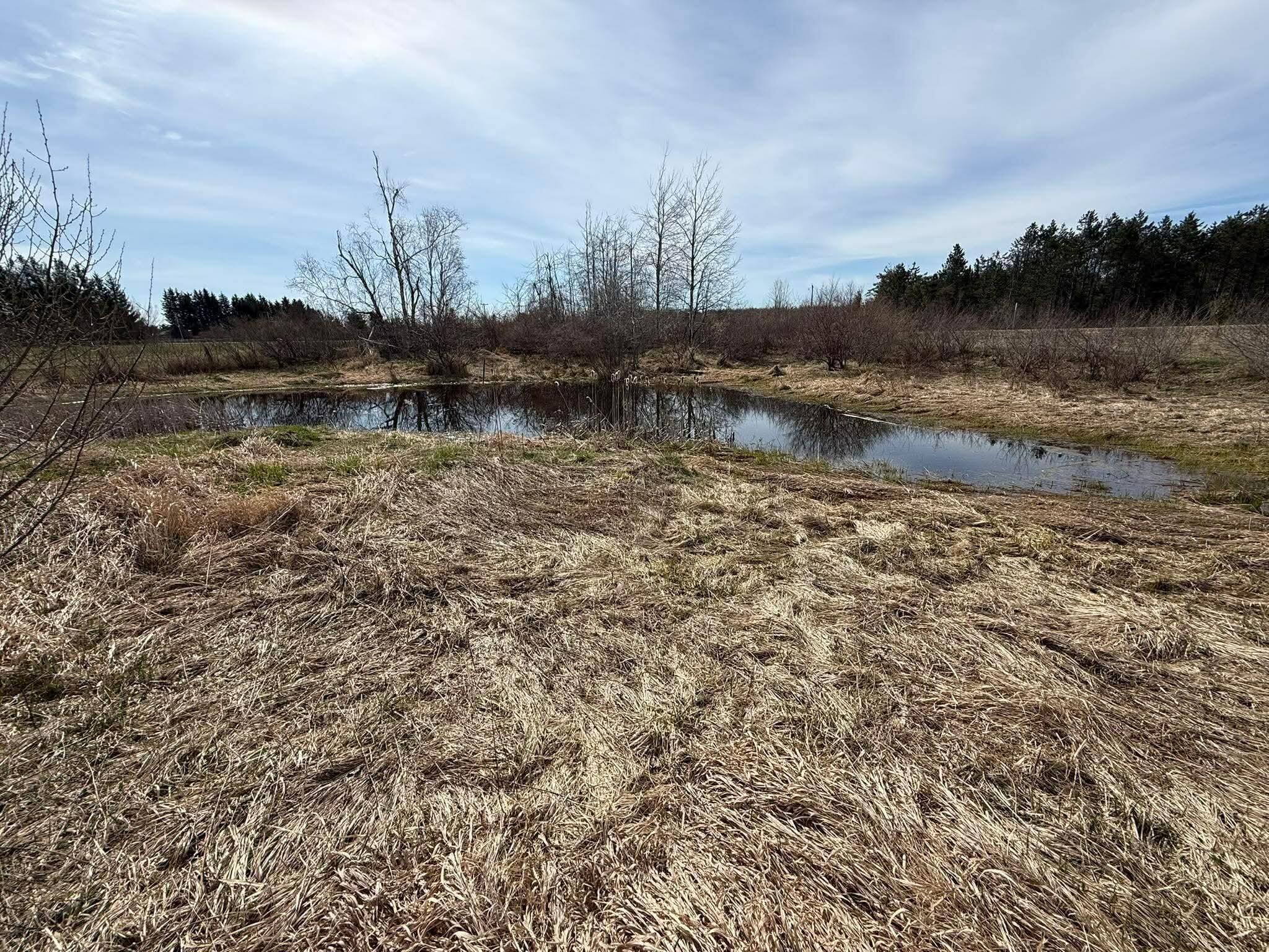 777 East Spruce Road Spruce, MI 48762 - Photo 4 of 6 Seasonal Pond
