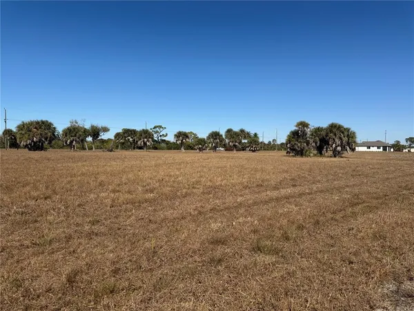 a view of a field with trees in background
