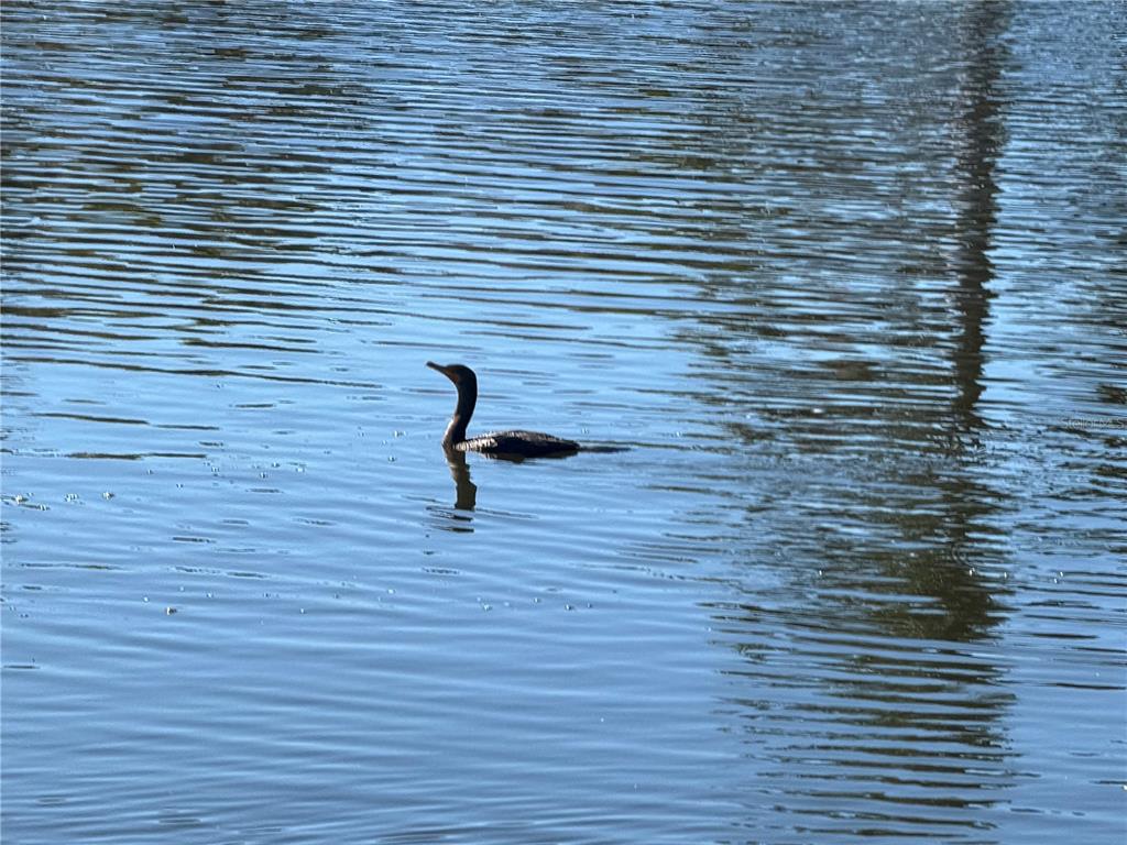 7 Chickadee Lane Placida, FL 33946 - Photo 13 of 13 a view of entryway