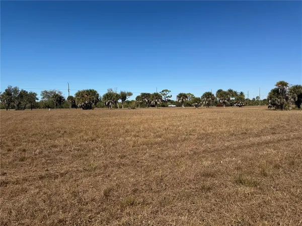 a view of field with trees in background