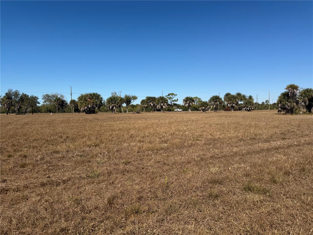 7 Chickadee Lane Placida, FL 33946 - Photo 2 of 13 a view of field with trees in background
