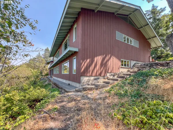 a view of a pathway of a yard