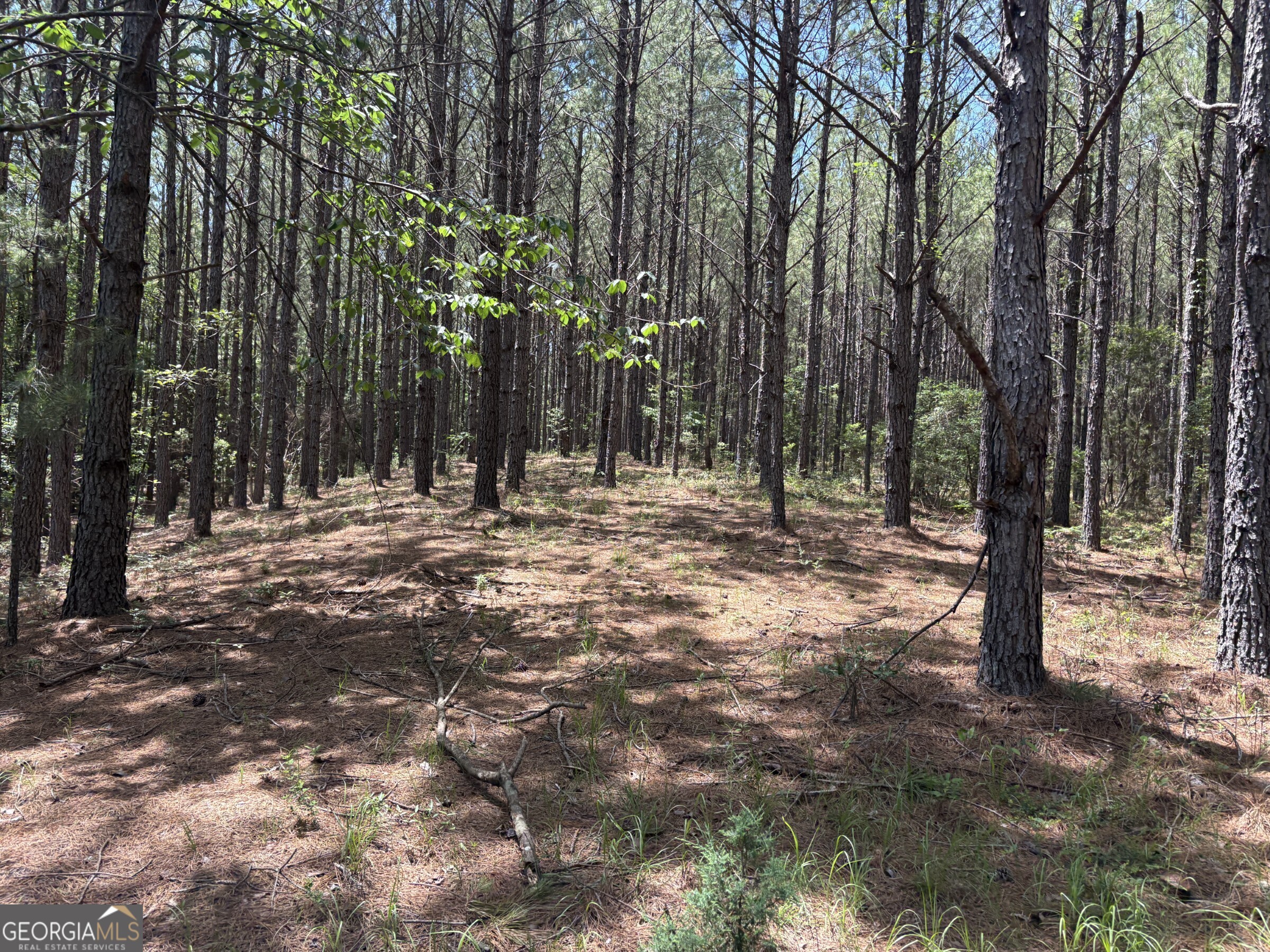0 Wriley Road McIntyre, GA 31054 - Photo 4 of 29