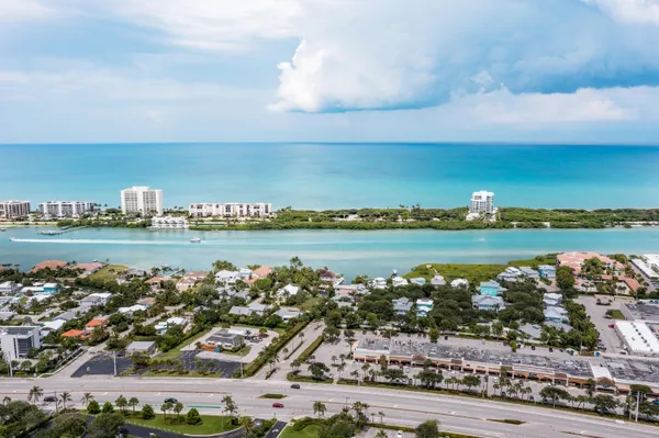 a park view with large trees