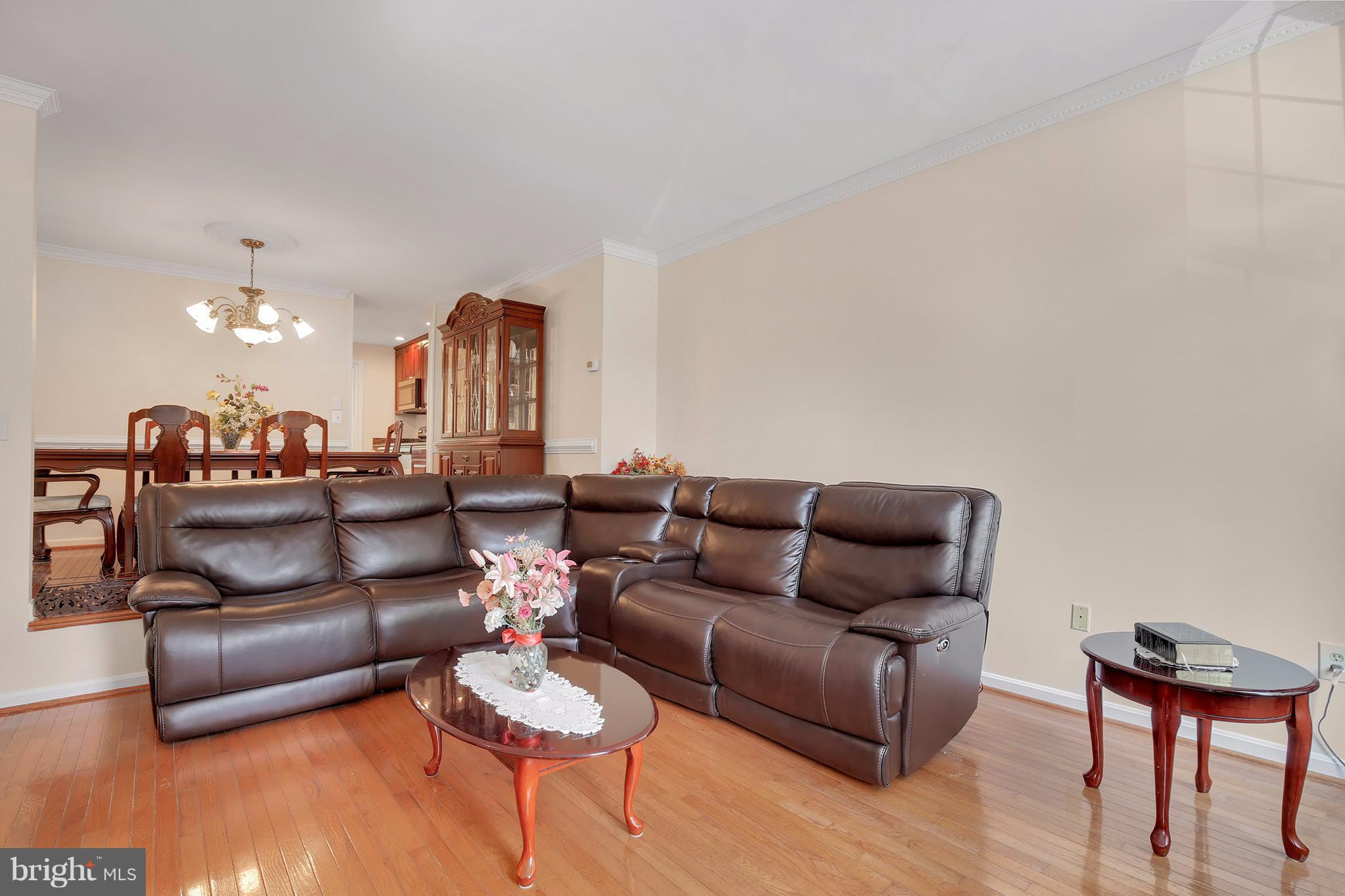 14216 Catamount Court Silver Spring, MD 20906 - Photo 17 of 30 Living Room