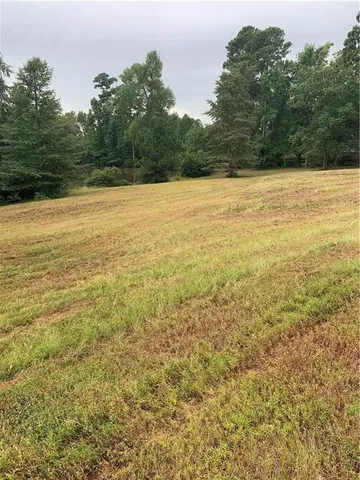 a view of an ocean and trees