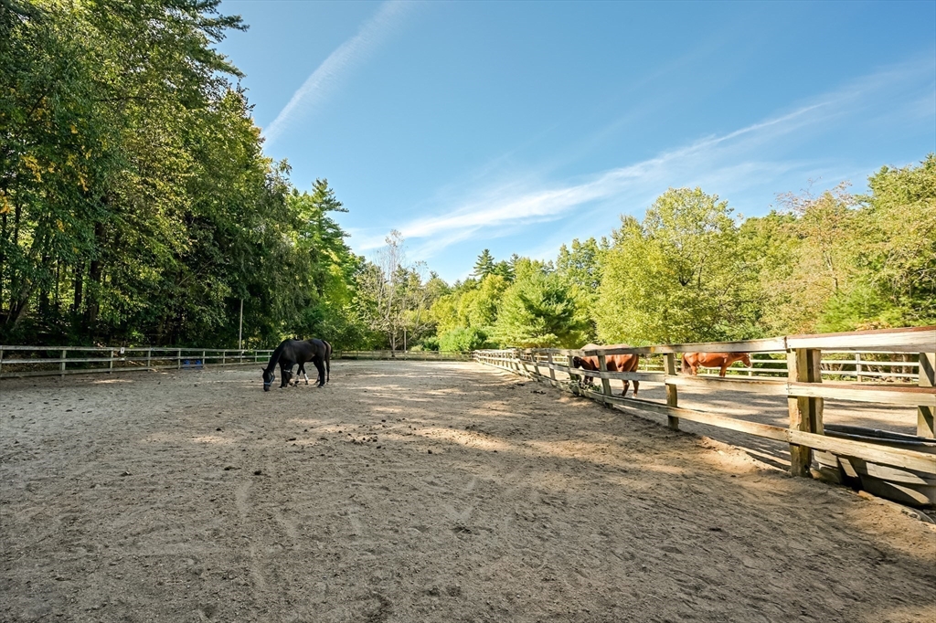 147 Shirley Street Pepperell, MA 01463 - Photo 5 of 42 a view of a outdoor space