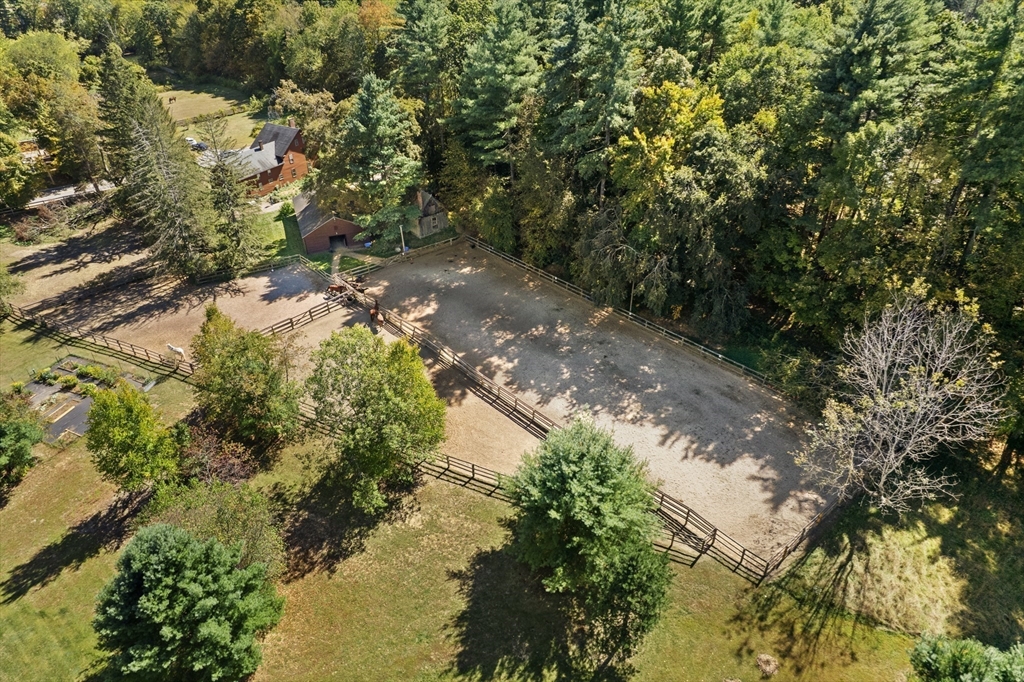 147 Shirley Street Pepperell, MA 01463 - Photo 8 of 42 a view of a forest with trees