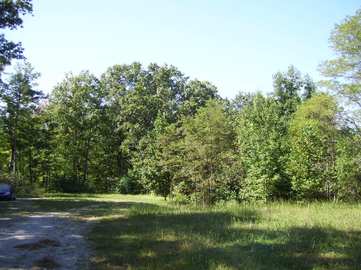 acreage 004